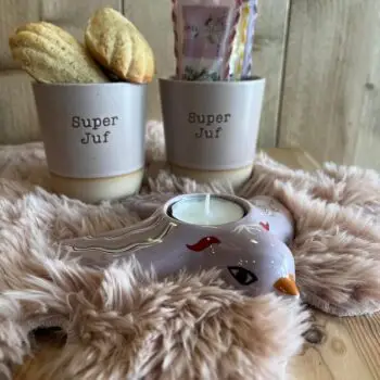 Kopje 'Super Juf'